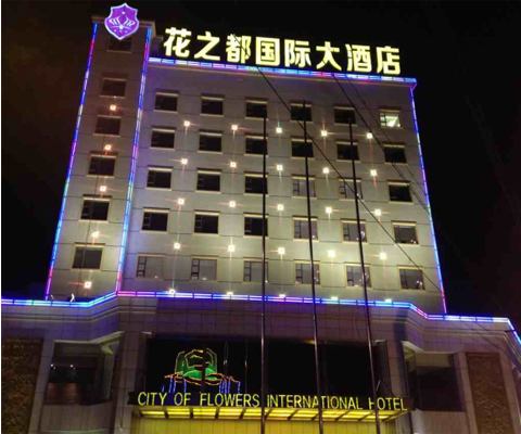 楼宇亮化工程